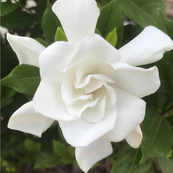 Meet your Posher, NerdKath. - Picture 2 of 2